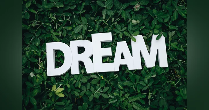 image for Chasing Dreams: It’s Never Too Late, Ladies!