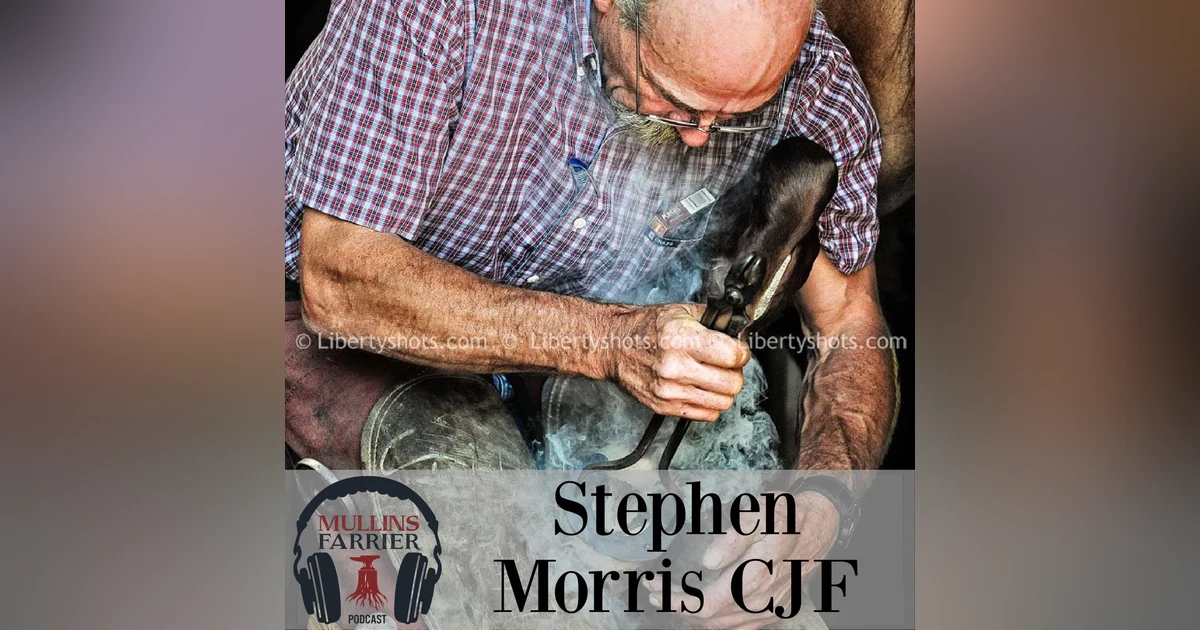 Stephen Morris CJF