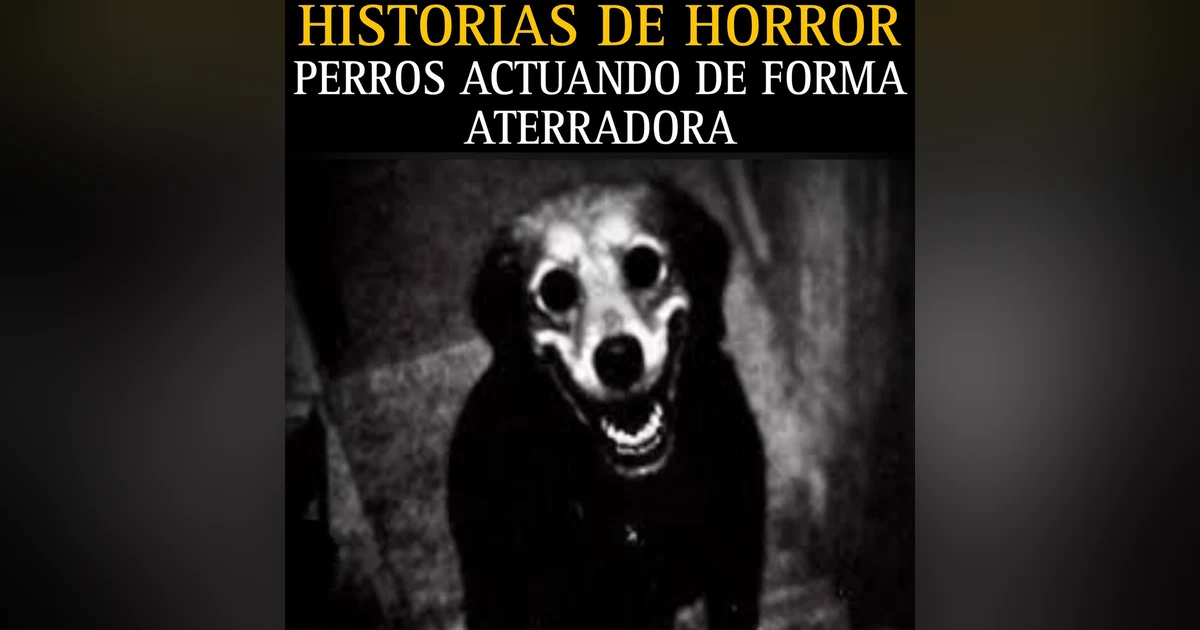 MEGA MARATON DE RELATOS DE PERROS ACTUANDO DE FORMA ATERRADORA / RELATOS PARA NO DORMIR / L.C.E.
