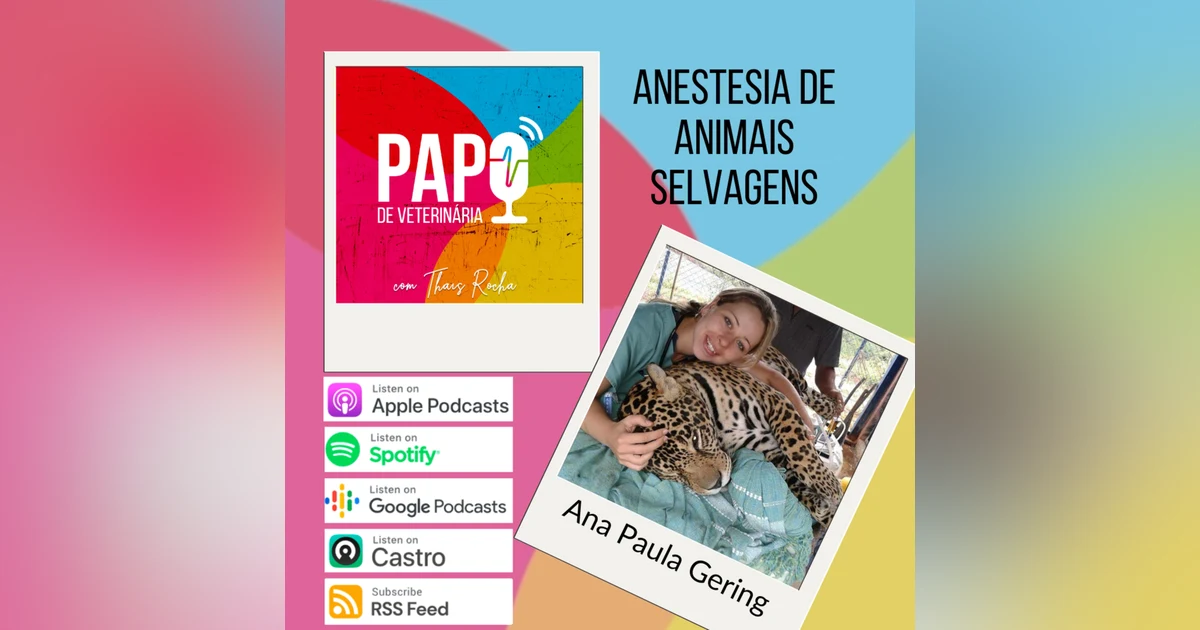 A inovação na anestesiologia de animais selvagens, com Ana Paula Gering
