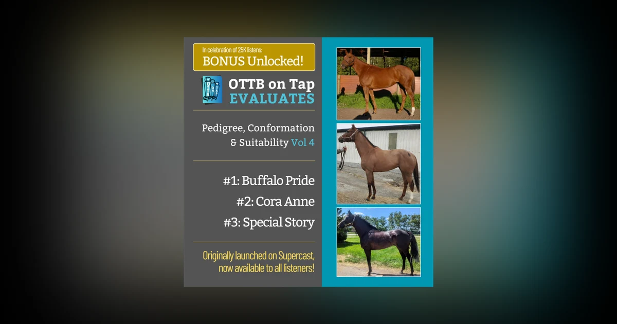 S2 E22: BONUS: Unlocked! OTTB on Tap Evaluates Vol. 4 — From Lightly Raced to Warhorses