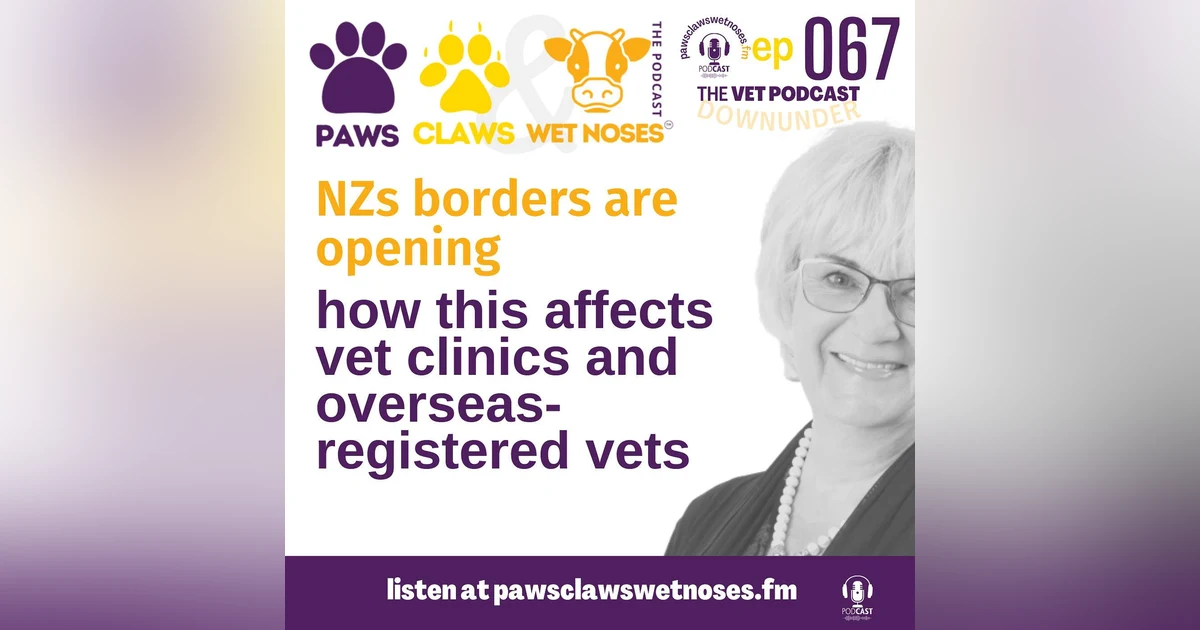 NZs borders open - how it impacts vet clinics and overseas qualified vets working in New Zealand