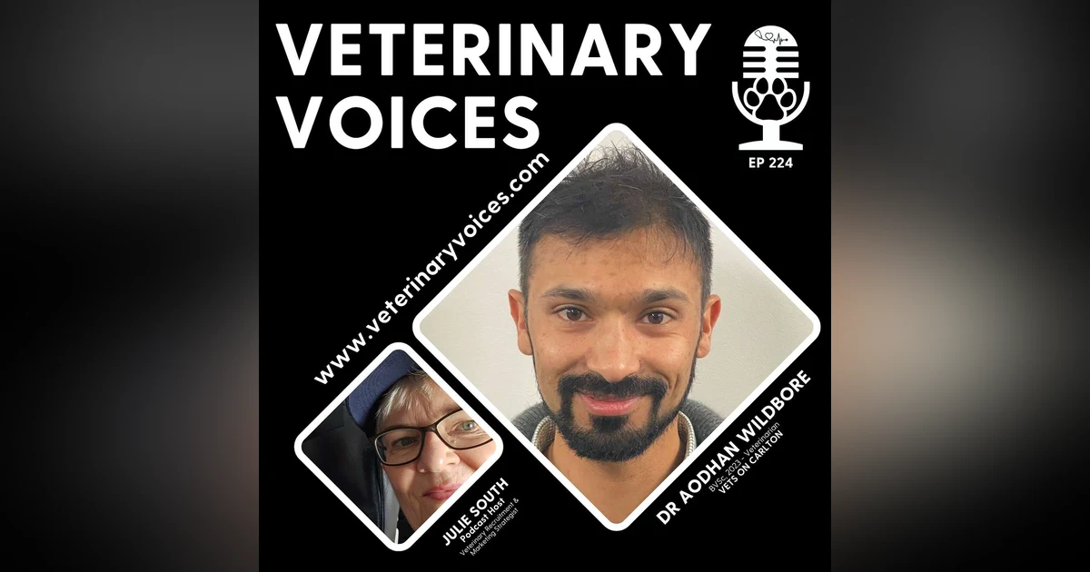 Employer of Choice Spotlight: A Chat with Recent Vet Grad - Dr Aodhan Wildbore - Vets on Carlton - ep 224