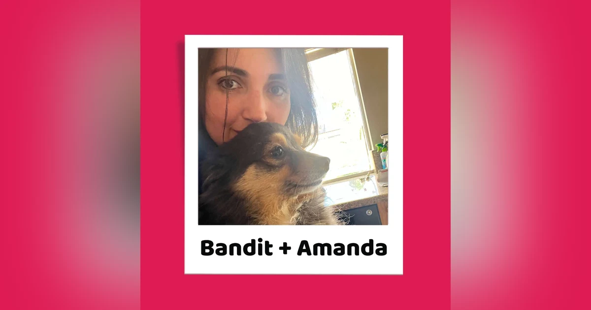 Bandit