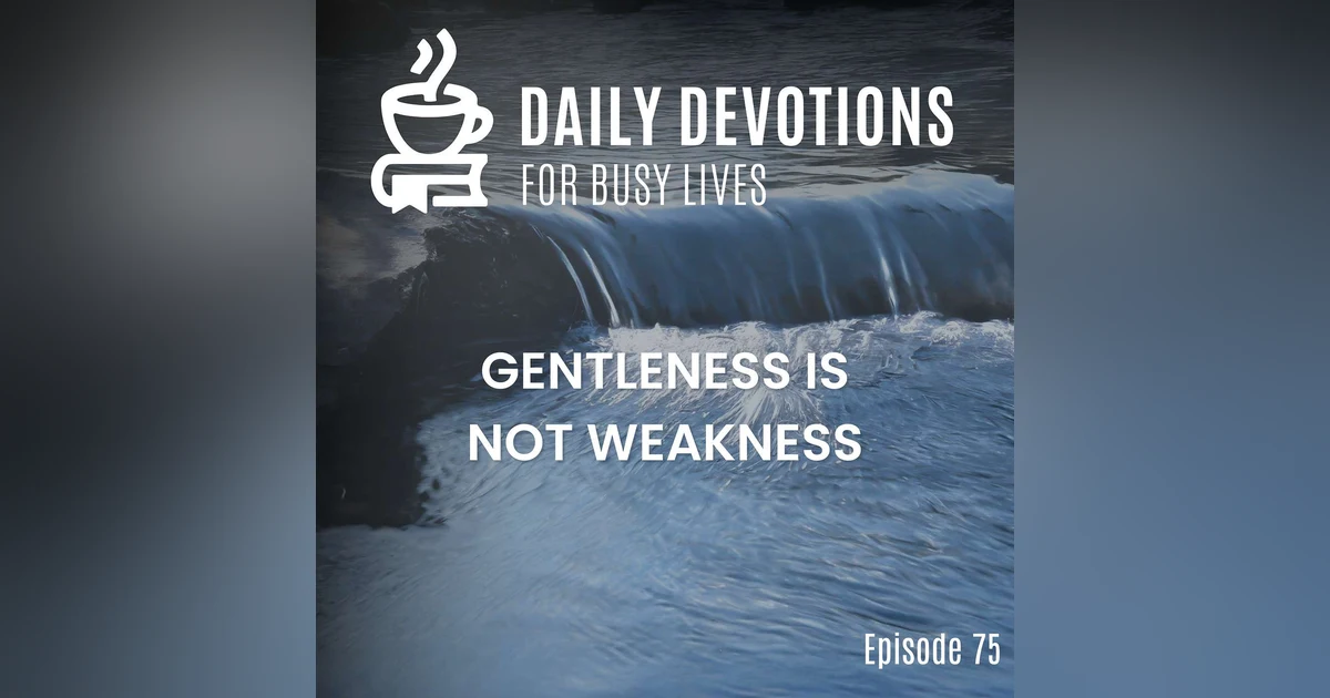 Gentleness is Not Weakness