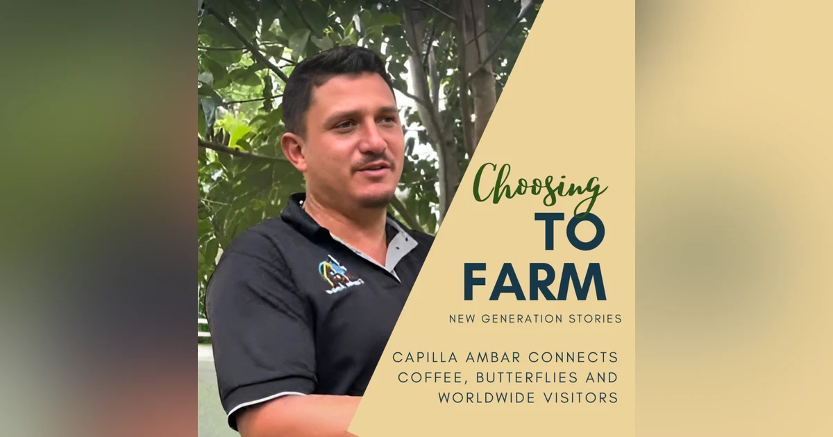 Capilla Ambar Connects Coffee, Butterflies and Worldwide Visitors