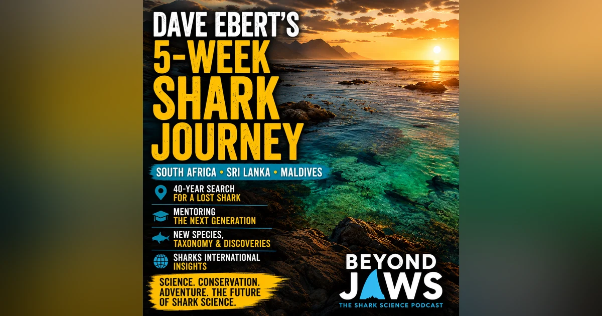 What a 5-Week Shark Trip Revealed About the Future of Shark Science and Conservation