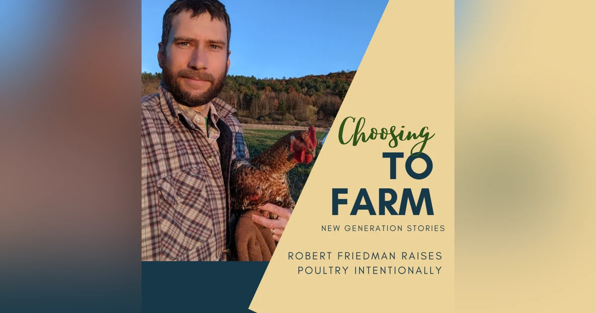 Robert Friedman Raises Poultry Intentionally