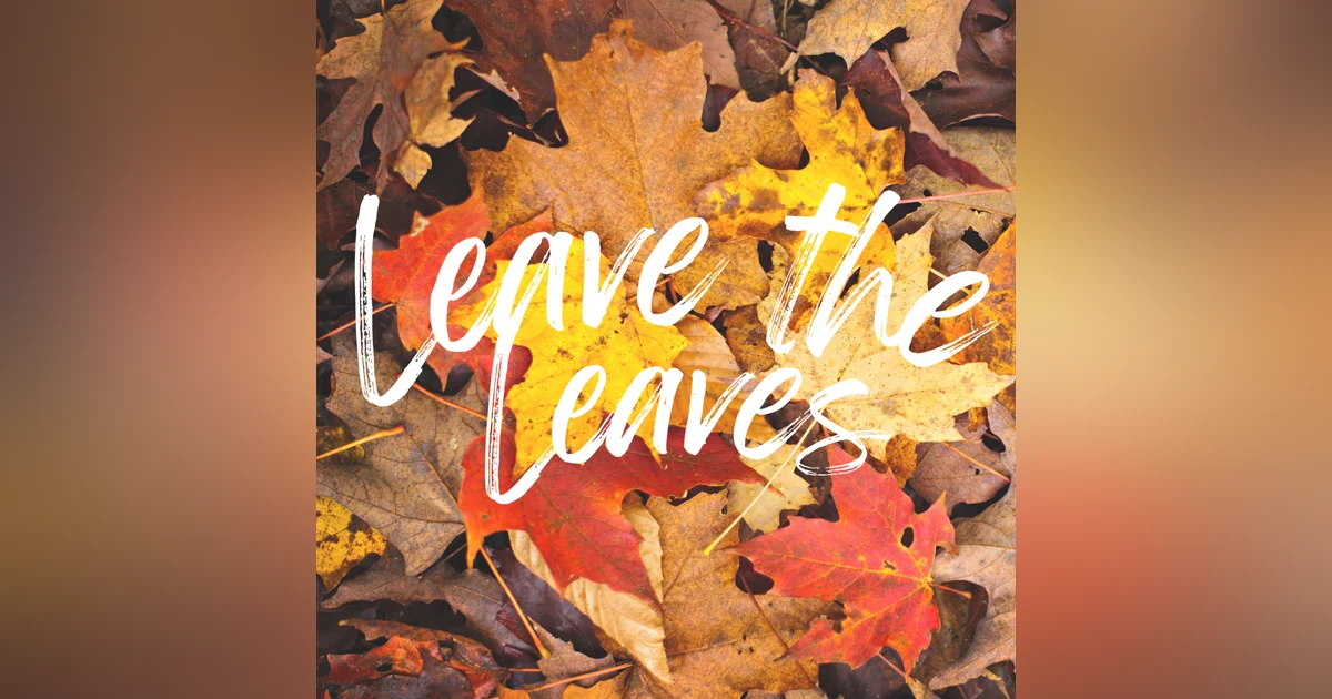 BONUS: Leave the Leaves with David Mizejewski