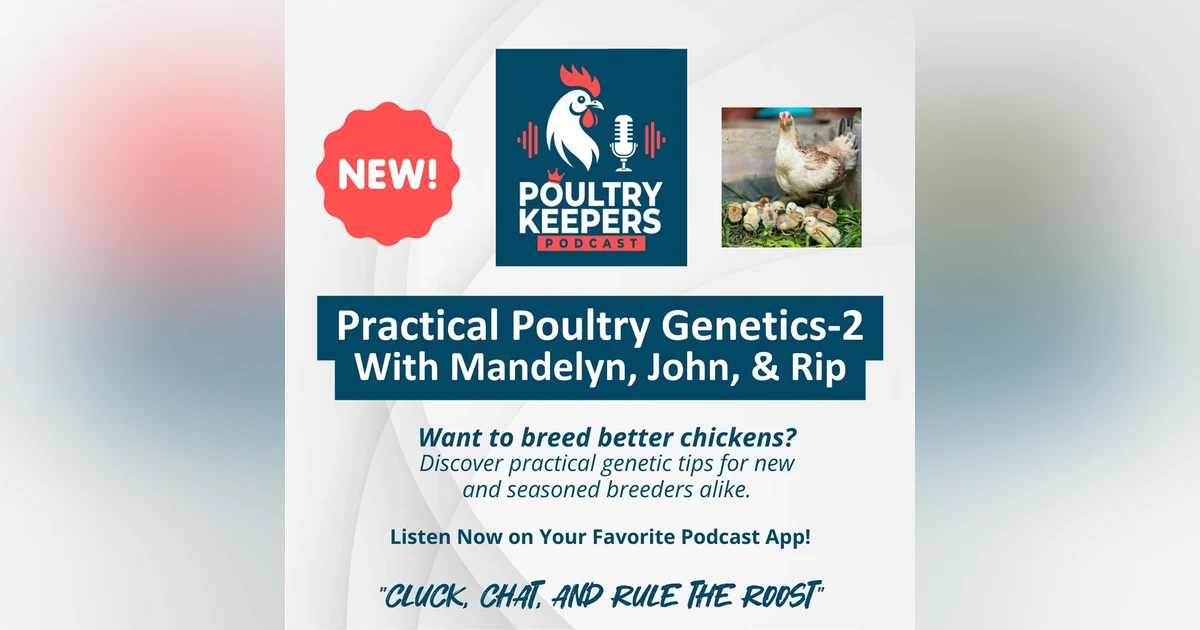 Practical Poultry Genetics-Part 2