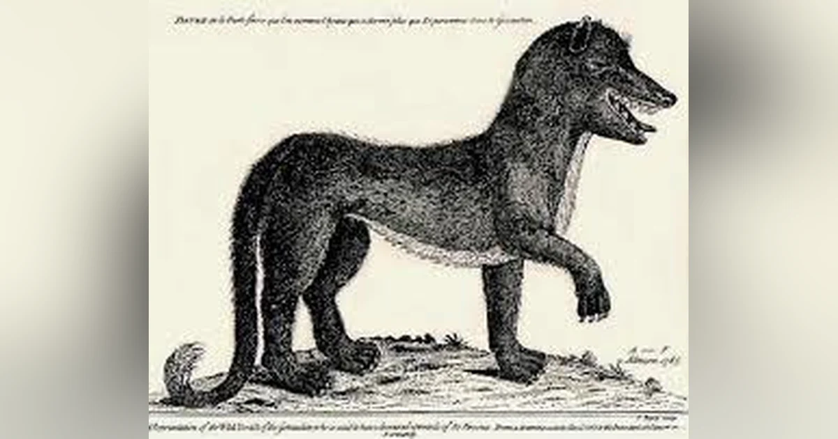 THE BEAST OF GEVAUDAN