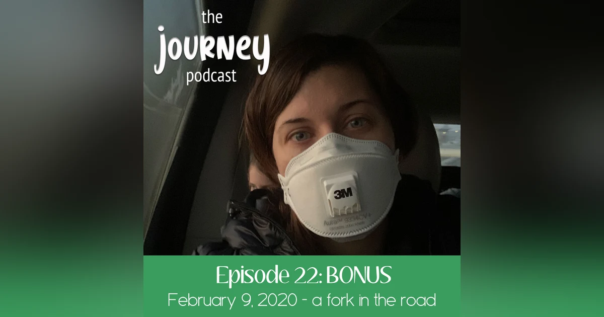 22: BONUS - Carey reflects on Feb 9, 2020 - a fork in the road