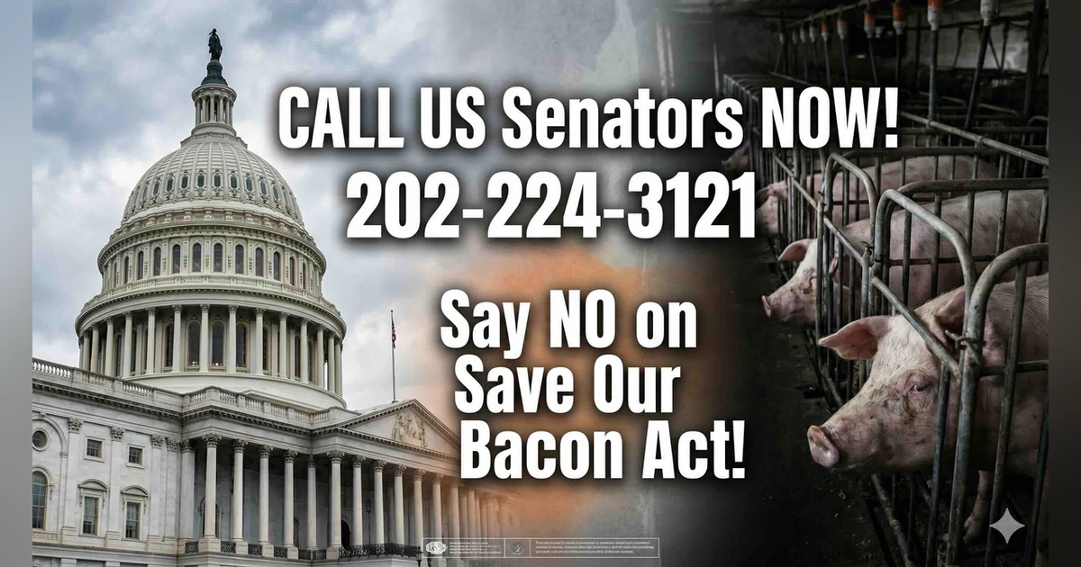 This Senate Bill Could Undo Historic Animal Rights