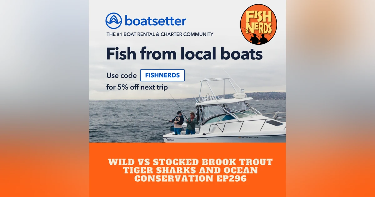 Wild vs Stocked Brook Trout Tiger Sharks and Ocean Conservation ep 286