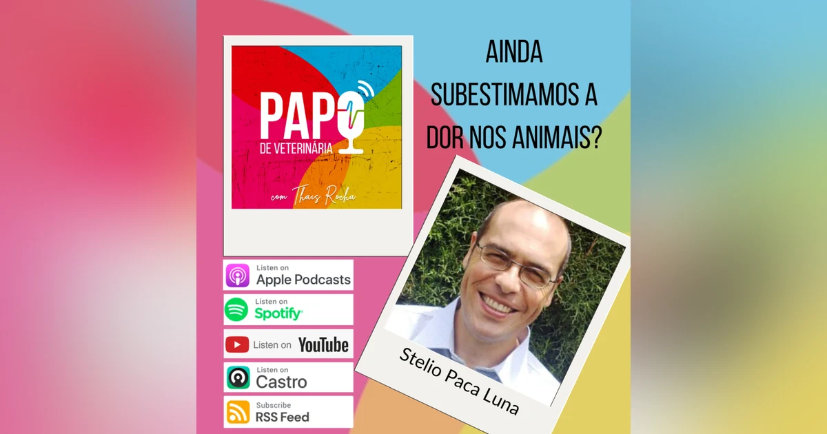 Nós subestimamos a dor dos animais? Ciência, analgesia e acupuntura veterinária