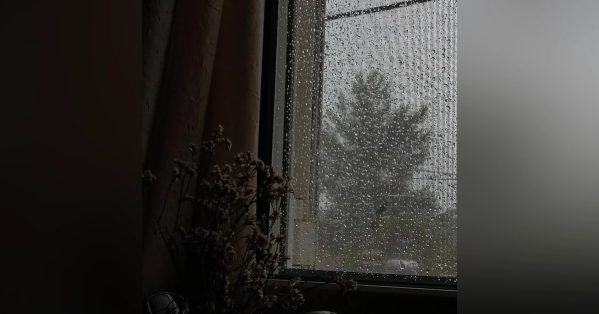 8 horas de sonido de lluvia suave, relajante para dormir