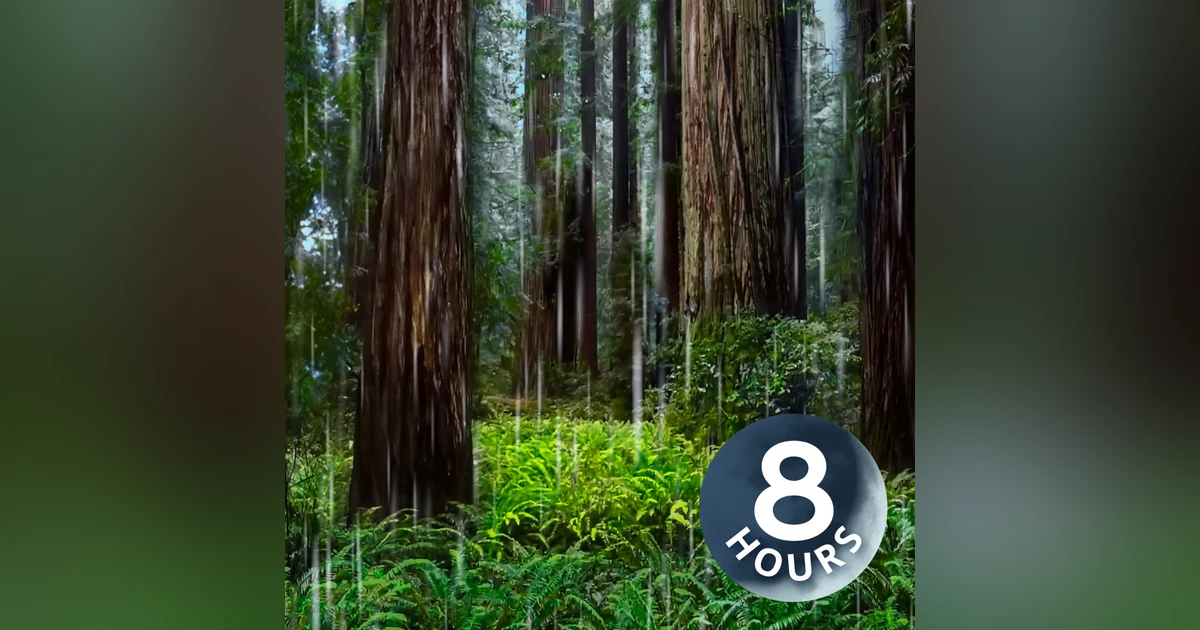 Rainstorm in Redwood Forest Helps You Sleep | 8 Hour Rain Sounds for Sleeping
