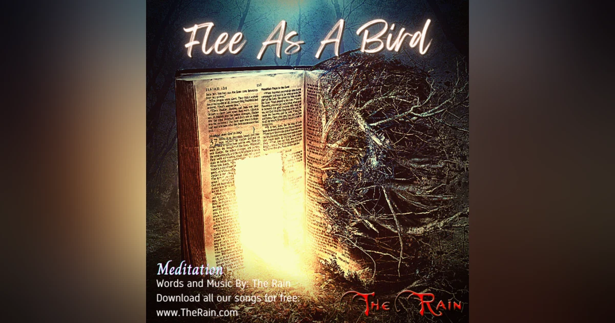Flee As A Bird - Meditation