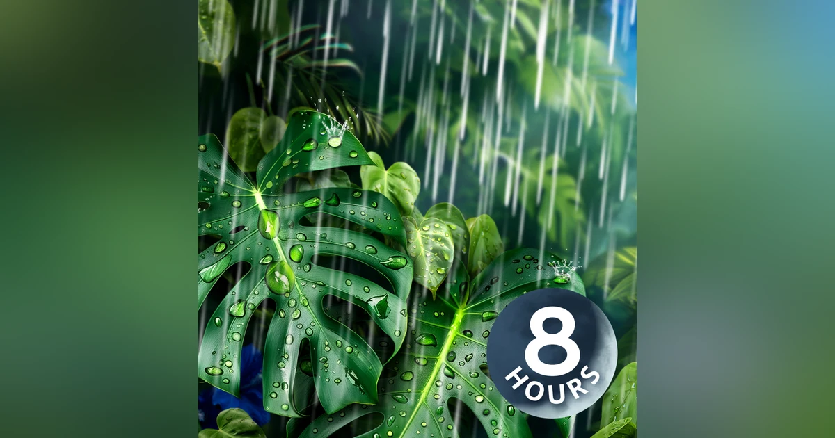 White Noise of Rain Helps You Sleep at Night | 8-Hour Rain Sleep Sounds