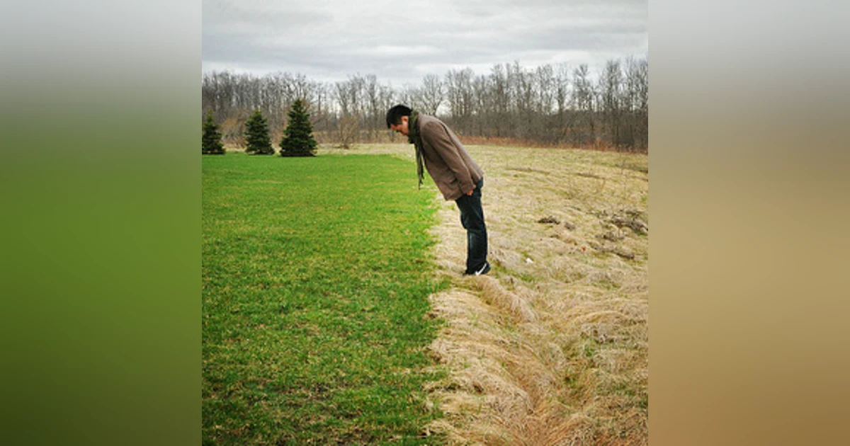 When the Grass IS NOT Greener on the other side of Business Startup