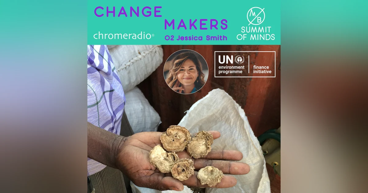CHANGEMAKERS 02 | J Smith, UN Environment Programme Finance Initiative