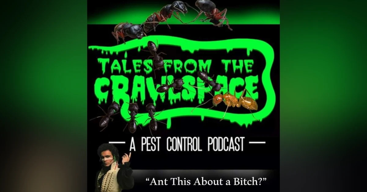 Ant This About A Bitch!