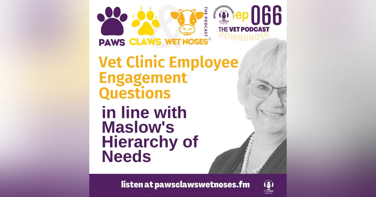Vet Clinic Employee Engagement - pt 2 - 7 questions to ask in line with Maslow's Hierarchy of Needs