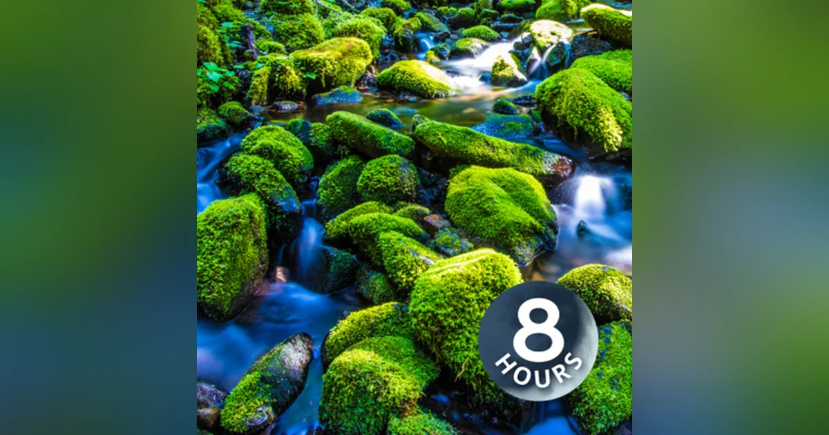 Relaxing Water Sounds for Sleep, Stress Relief, Focus | Mountain Stream White Noise 8 Hours