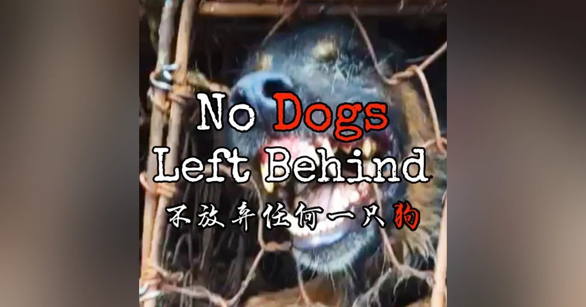Season 2-Episode 5 - No Dogs Left Behind