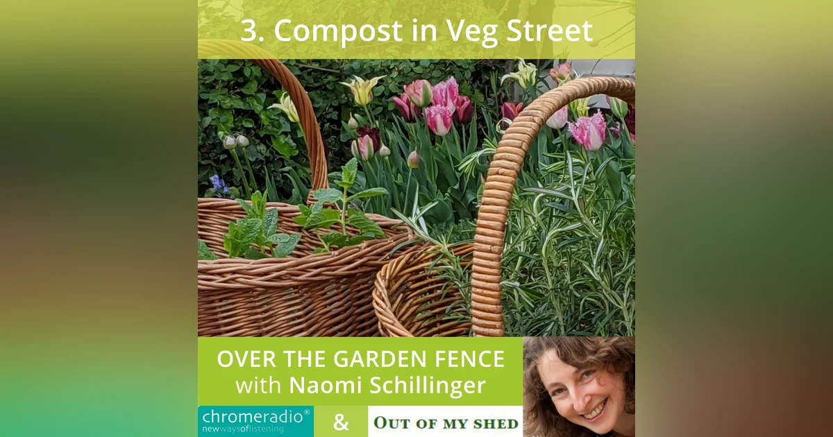OVER THE GARDEN FENCE 3 | Compost in Veg Street