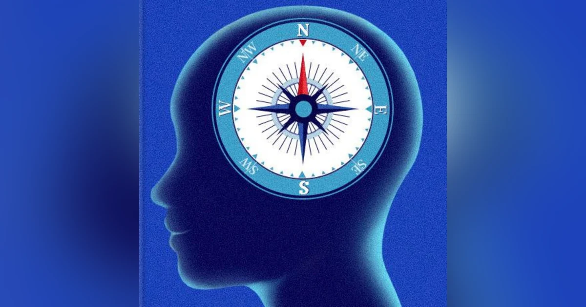 Prioritizing Principles: Key Insights from Stephen R. Covey's 'First Things First'