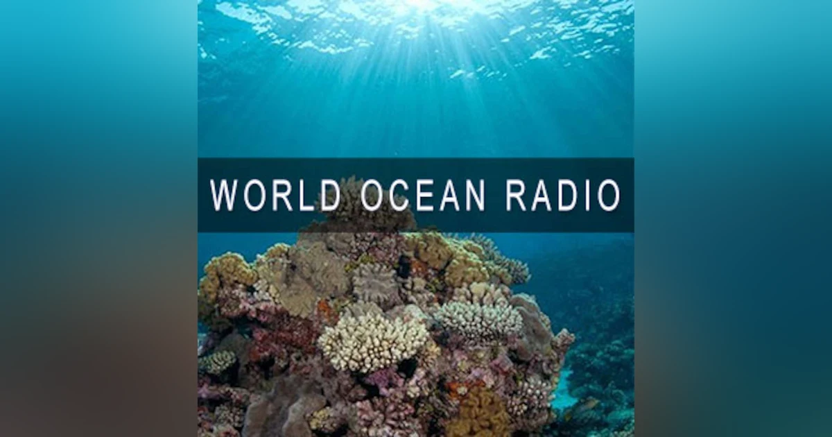 Mapping the Ocean: Physical Cartography