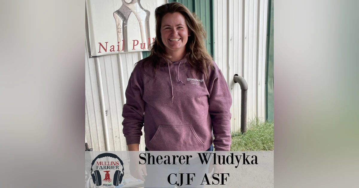 Shearer Wludyka CJF ASF