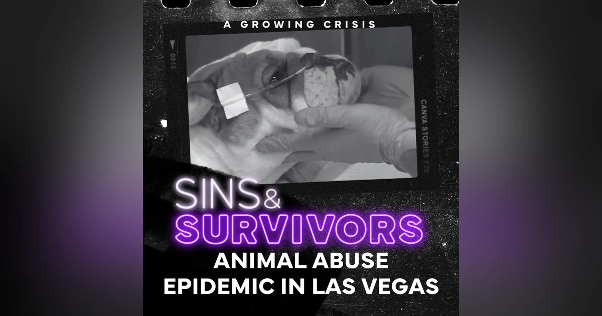 The Animal Abuse Epidemic in Las Vegas