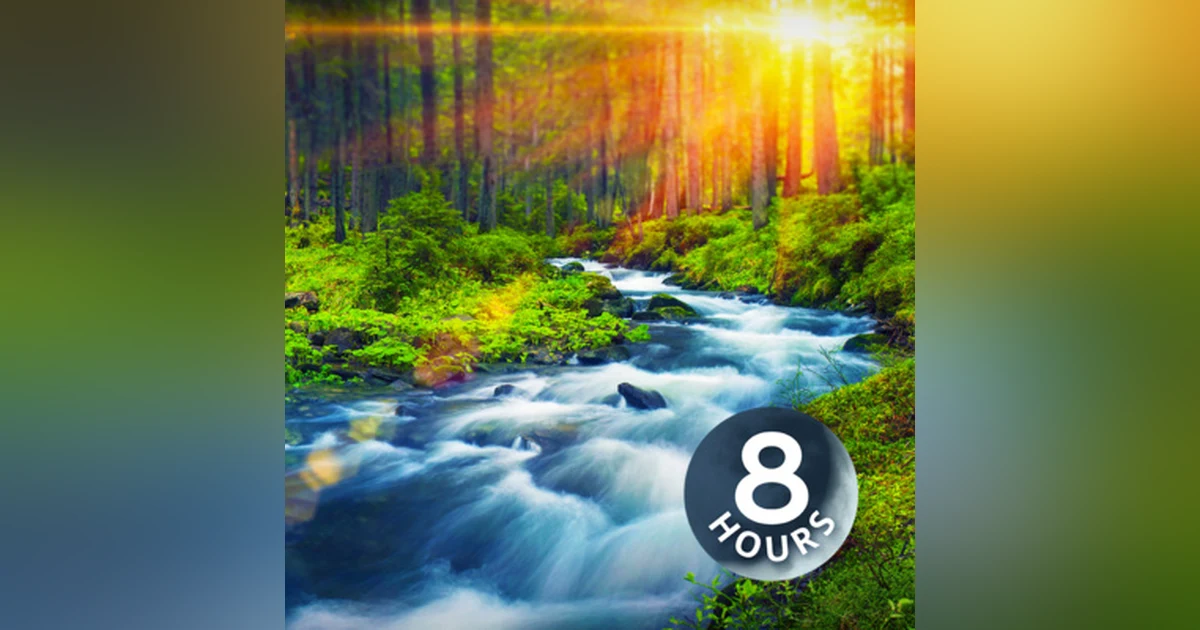 Forest River Peaceful Sounds for Relaxation, Sleep or Studying 8 Hours | White Noise Nature