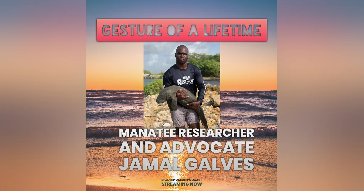 Gesture of a Lifetime: Manatee Researcher Jamal Galvez On How Before He Started Saving Manatees They Saved Him