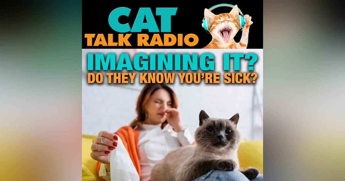 You’re Not Imagining It—Your Cat Really Does Know When You’re Sick