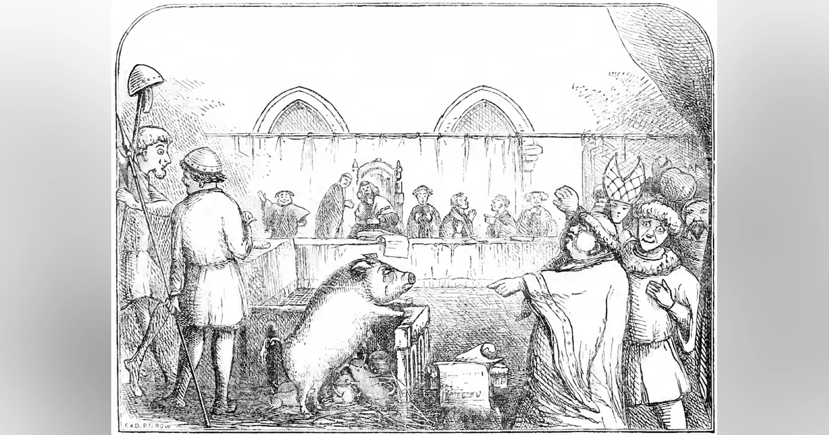 Animals on Trial