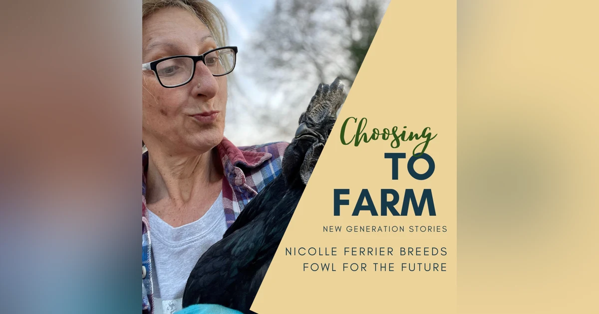 Nicolle Ferrier Breeds Fowl for the Future