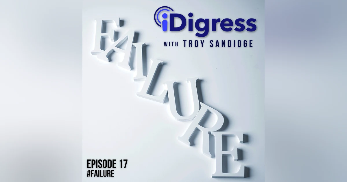 17. Failure Is A Constant When It Comes To Business. How Do We Navigate Failure The Right Way In Order To Succeed?