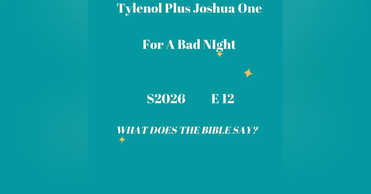 Tylenol Plus Joshua One For A Bad Night