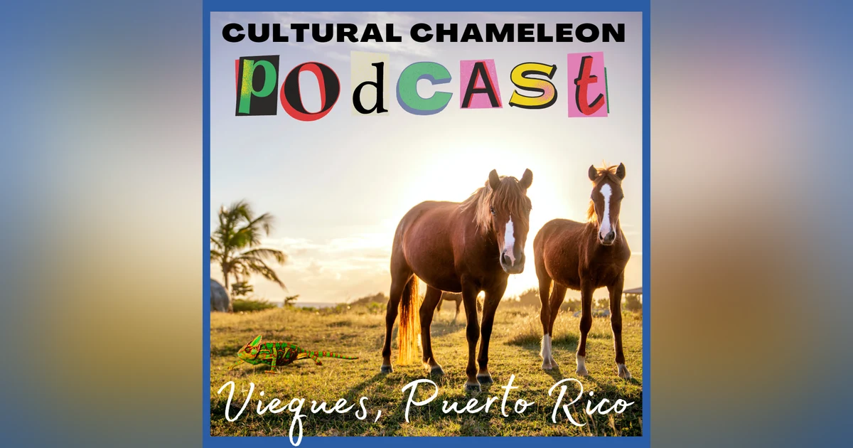 Cultural Chameleon Episode 6 - Vieques, Puerto Rico