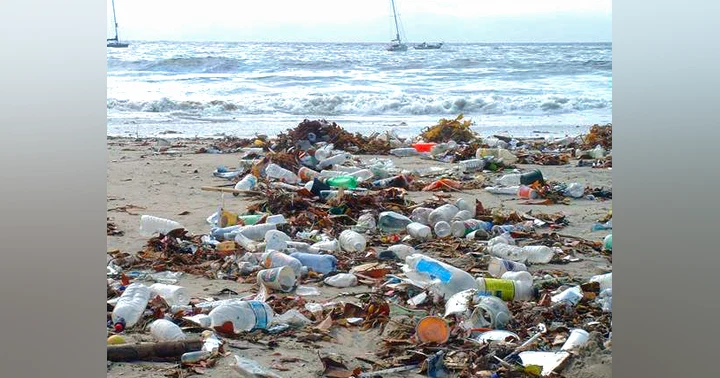 image for California Doesn't Want to Recycle Plastics