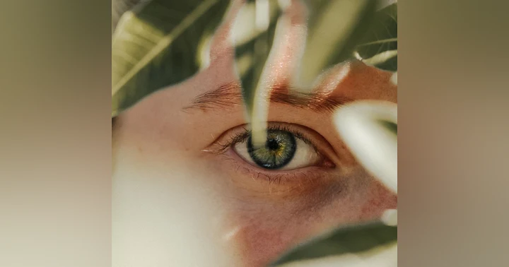 image for Visibility With Responsibility