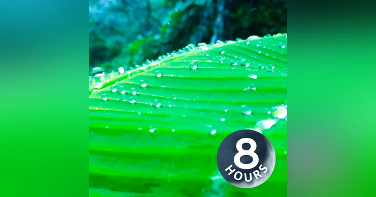 Sleep with Jungle Rain Sounds 8 Hours | Rainstorm White Noise