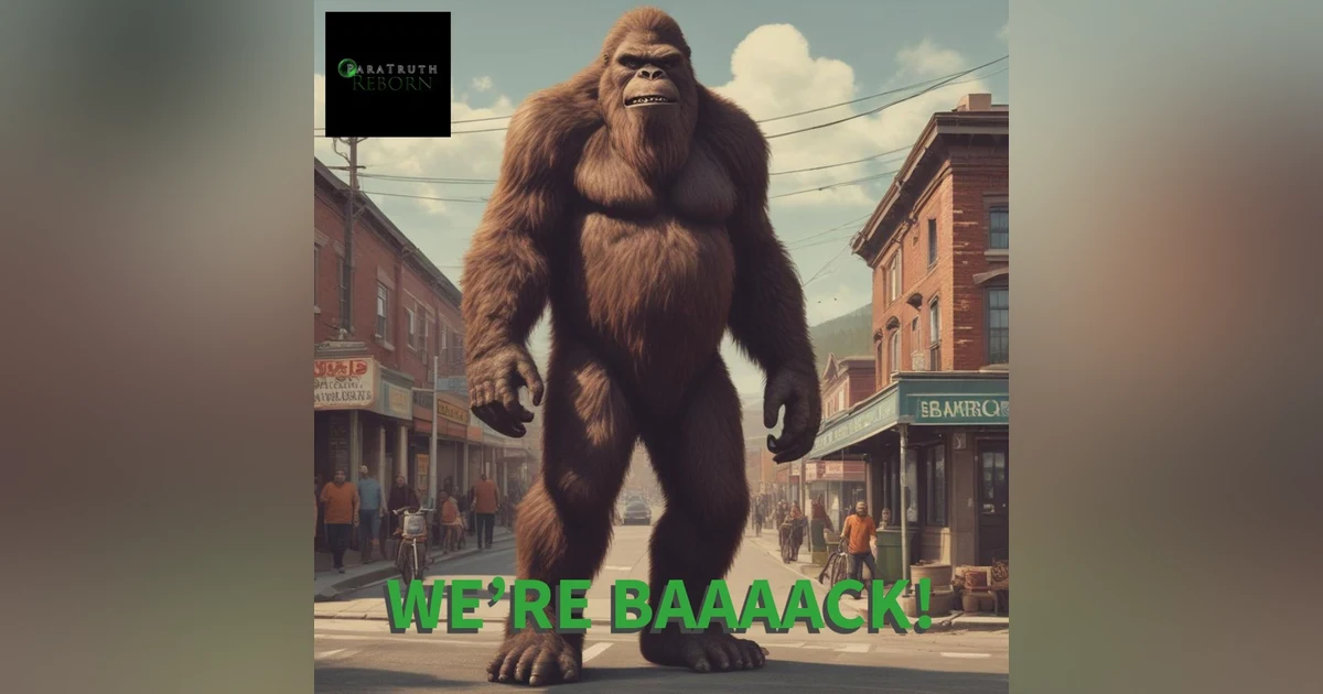 WE'RE BAAAACK!