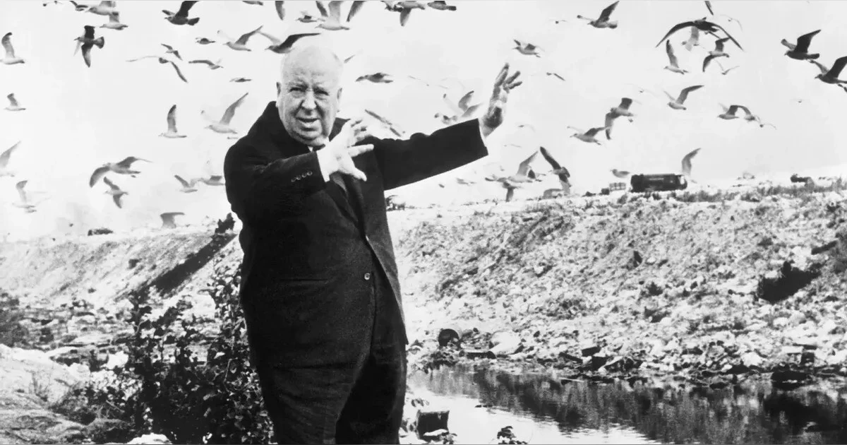 Midweek Mention... The Birds
