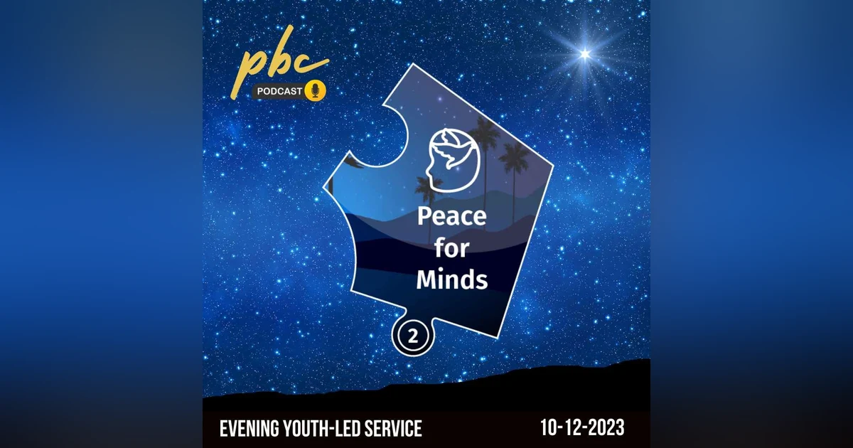 The Missing Peace | Peace For Minds | Youth-Led Service