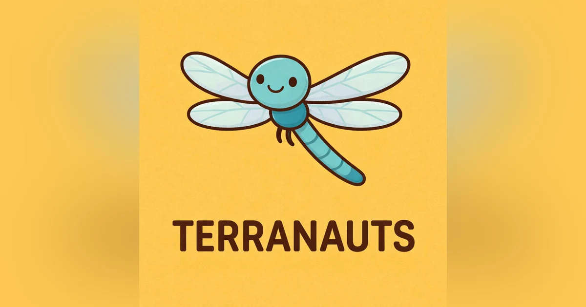 Dragonfly!