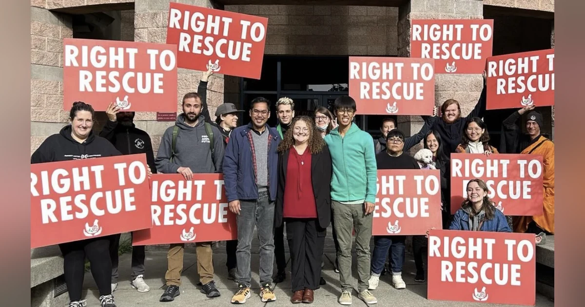 Why They're Prosecuting a Woman for Rescuing 4 Chickens